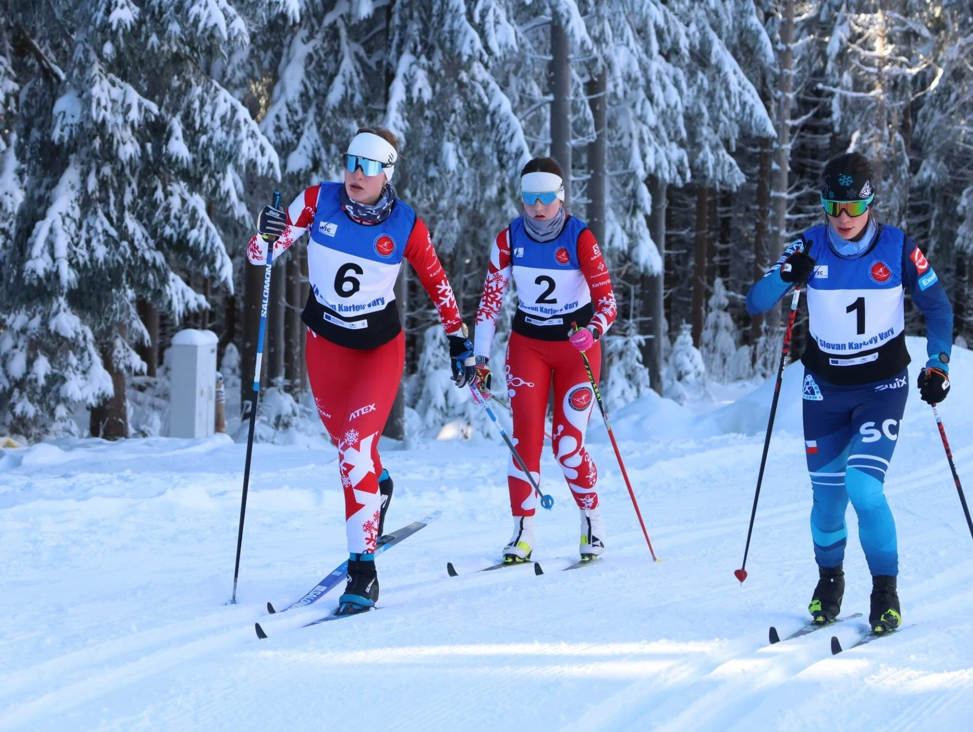 Štít Krušných hor 2026 neděle